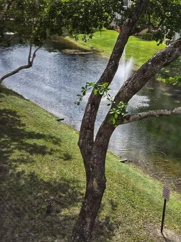 a view of a park with large trees