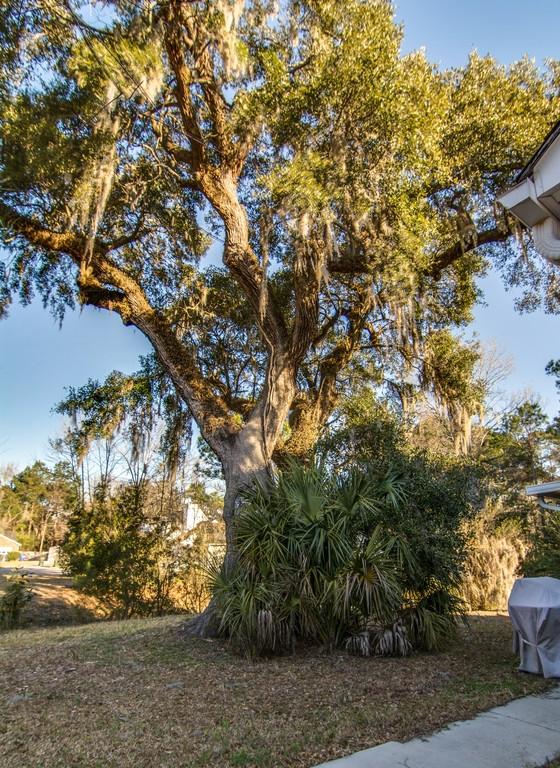 1703 Eallystockert Road Charleston, SC 29414 - Photo 22 of 22 cs1502031-125