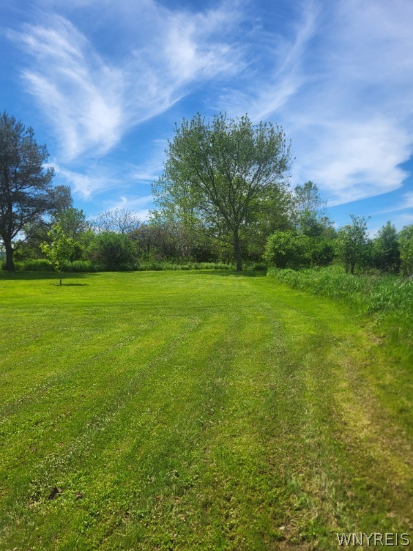 8294 Swamp Road East Otto, NY 14729 - Photo 41 of 47