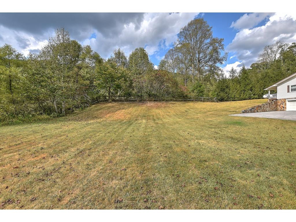 111 Jackson Road Unicoi, TN 37692 - Photo 33 of 33 Large Yard