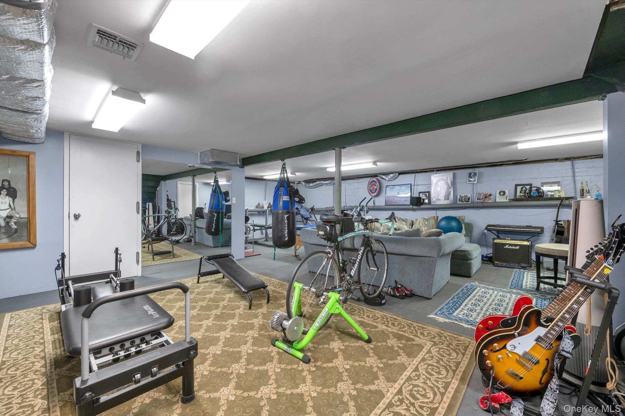 254 Adams Road Hewlett Harbor, NY 11557 - Photo 23 of 34 a living room with lots of furniture and gym equipment