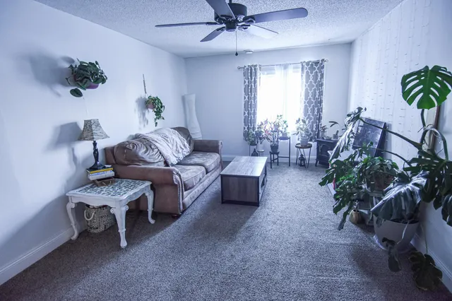 $75,000 | 1009 Dewey Avenue North, Thief River Falls, MN 56701