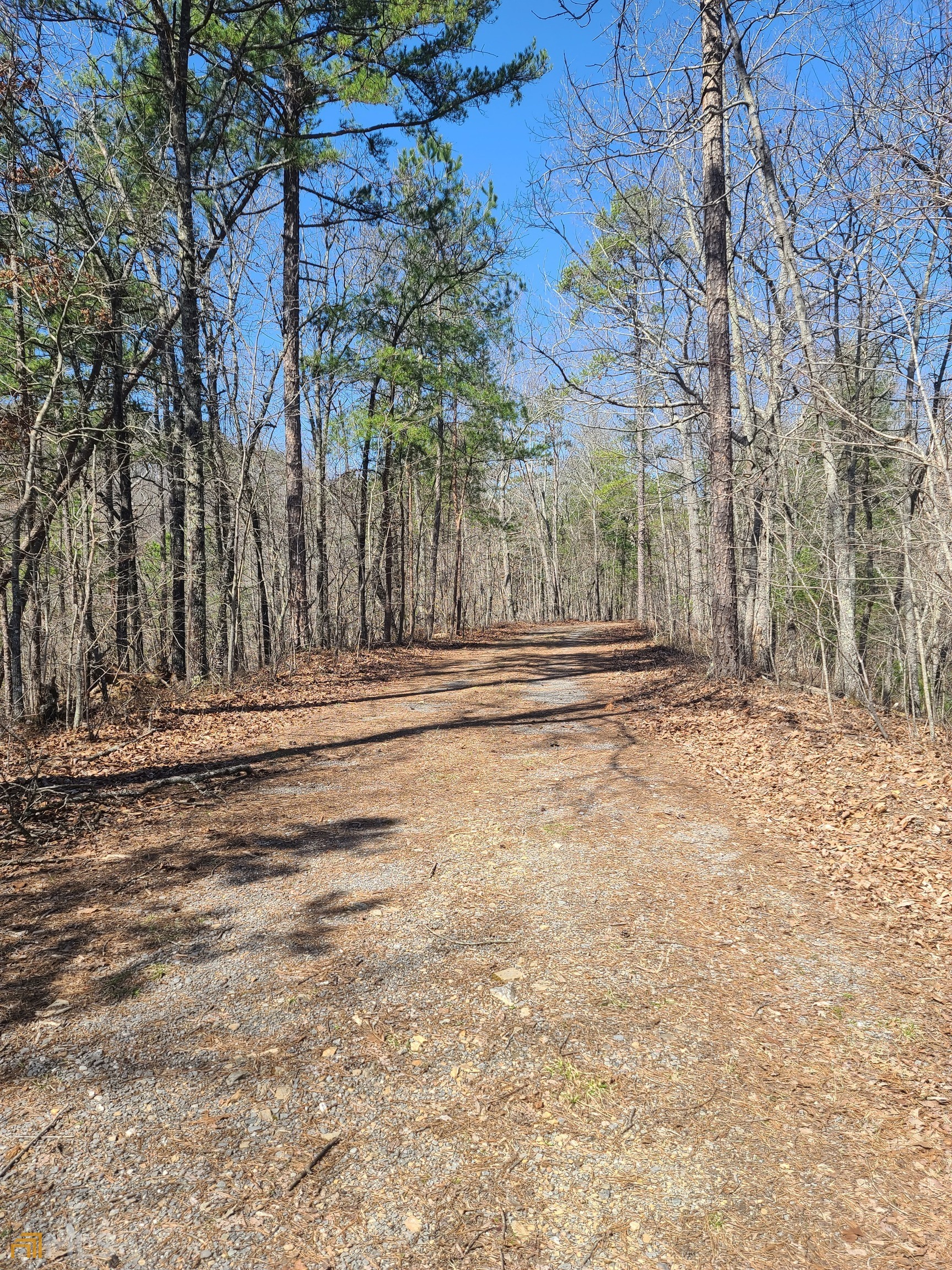 772 Naomi Court, Unit 65/79/80 Ranger, GA 30734 - Photo 1 of 1 Gallery Image 1