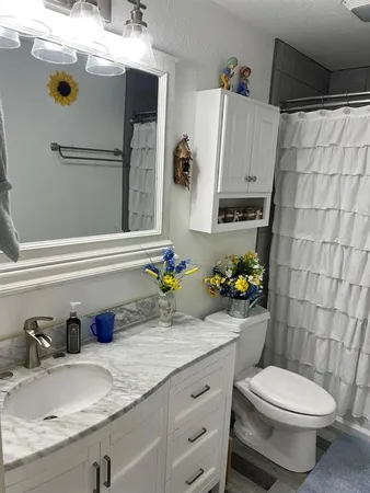 a bathroom with a sink a toilet and shower