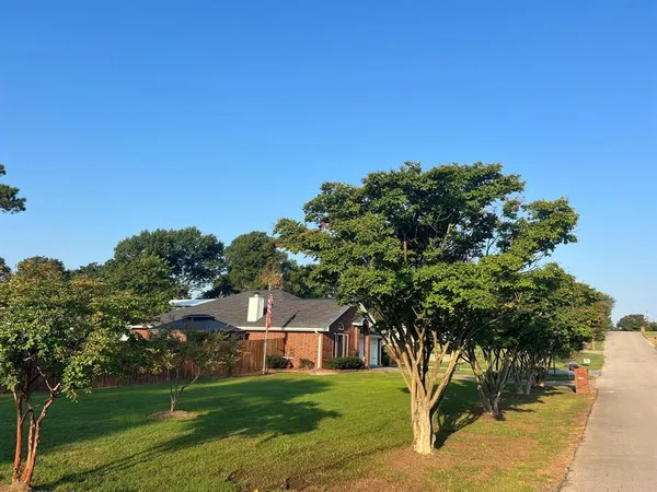 front view of a house with a tree