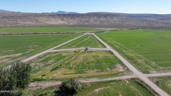 a bird view of a garden