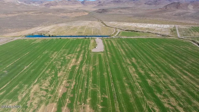 an aerial view of a yard