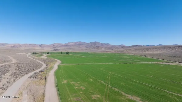a view of a lush green outdoor space