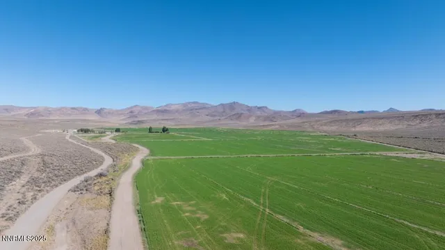 a view of a lush green outdoor space