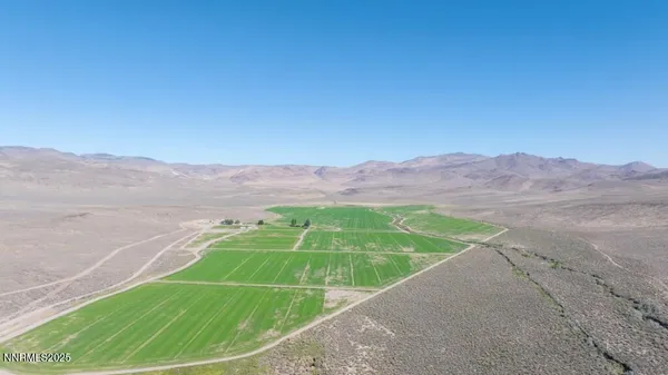 a view of a field with an ocean view