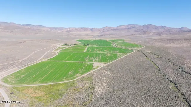 a view of a field with a mountain in the background