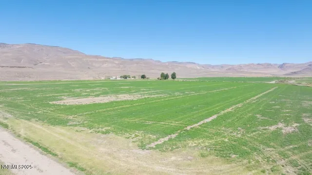 a view of a lush green hillside and a mountain