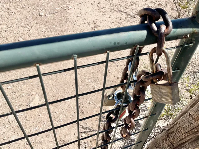 a close up of a plant on a rack
