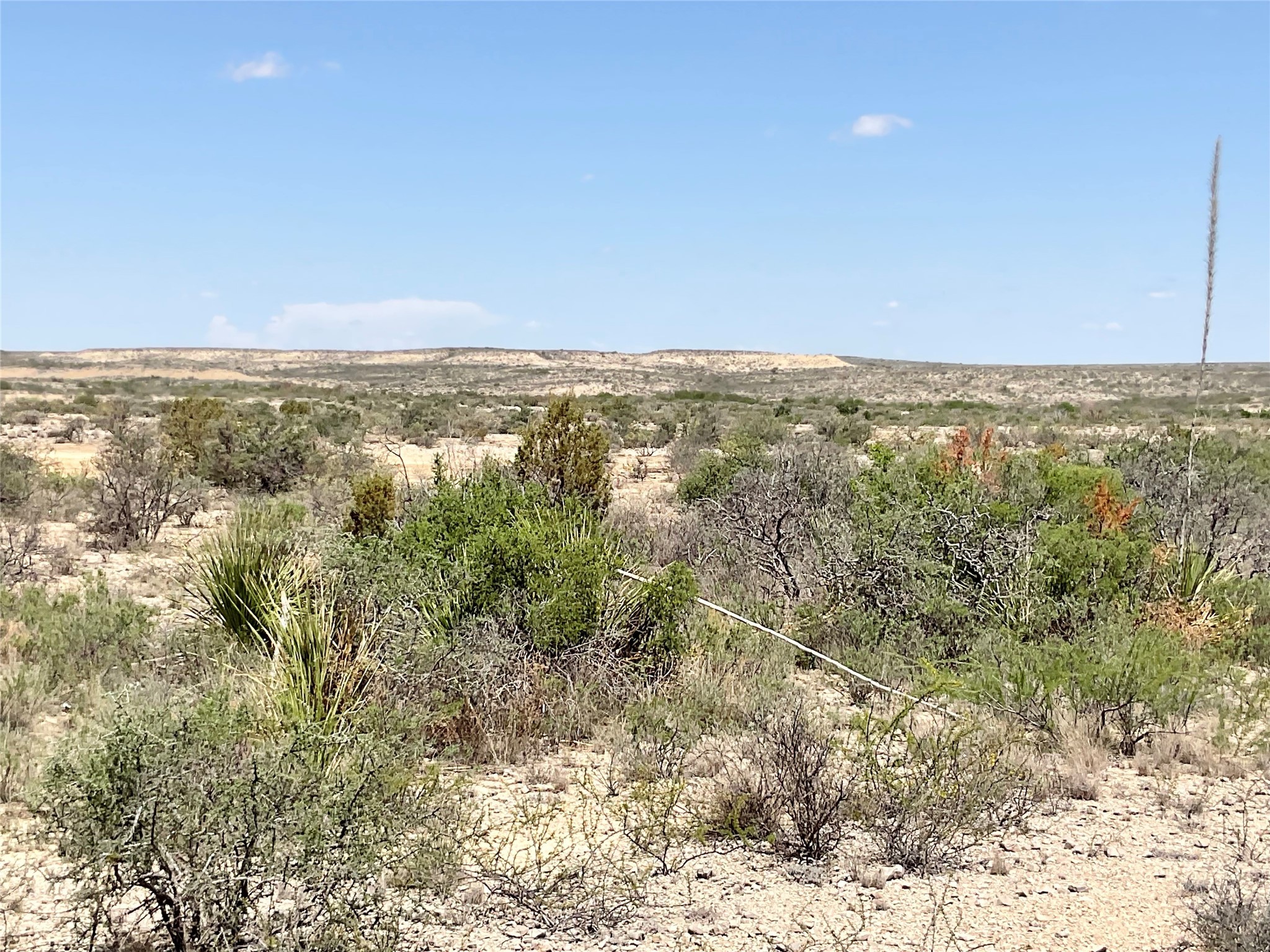 O Shafter Crossing Road Dryden, TX 78851 - Photo 5 of 7 Looking toward south view from ridge at higher elevation. Valley and distant plateau.