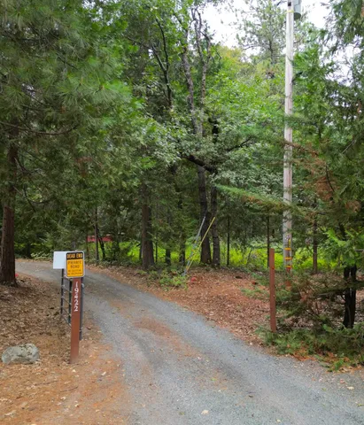 a view of a park with large trees