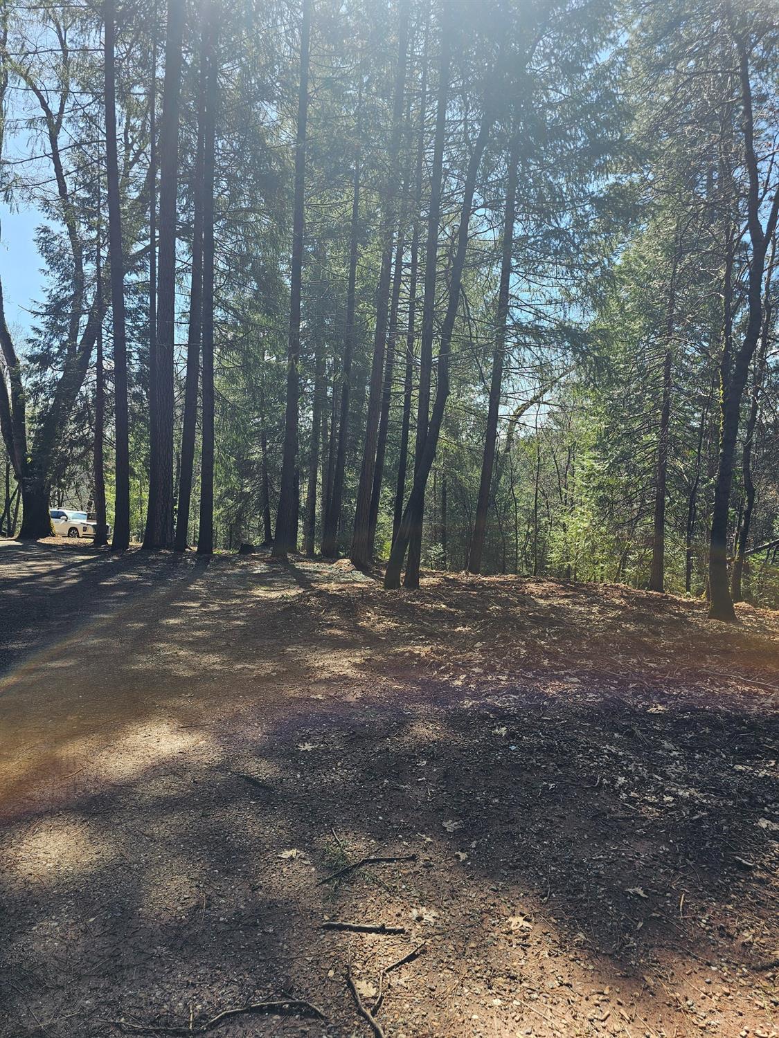 19344 Louis Road Grass Valley, CA 95945 - Photo 12 of 54 a view of outdoor space with trees