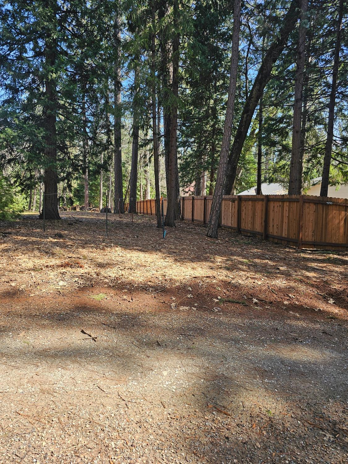 19344 Louis Road Grass Valley, CA 95945 - Photo 13 of 54 a view of a yard with wooden fence and large trees