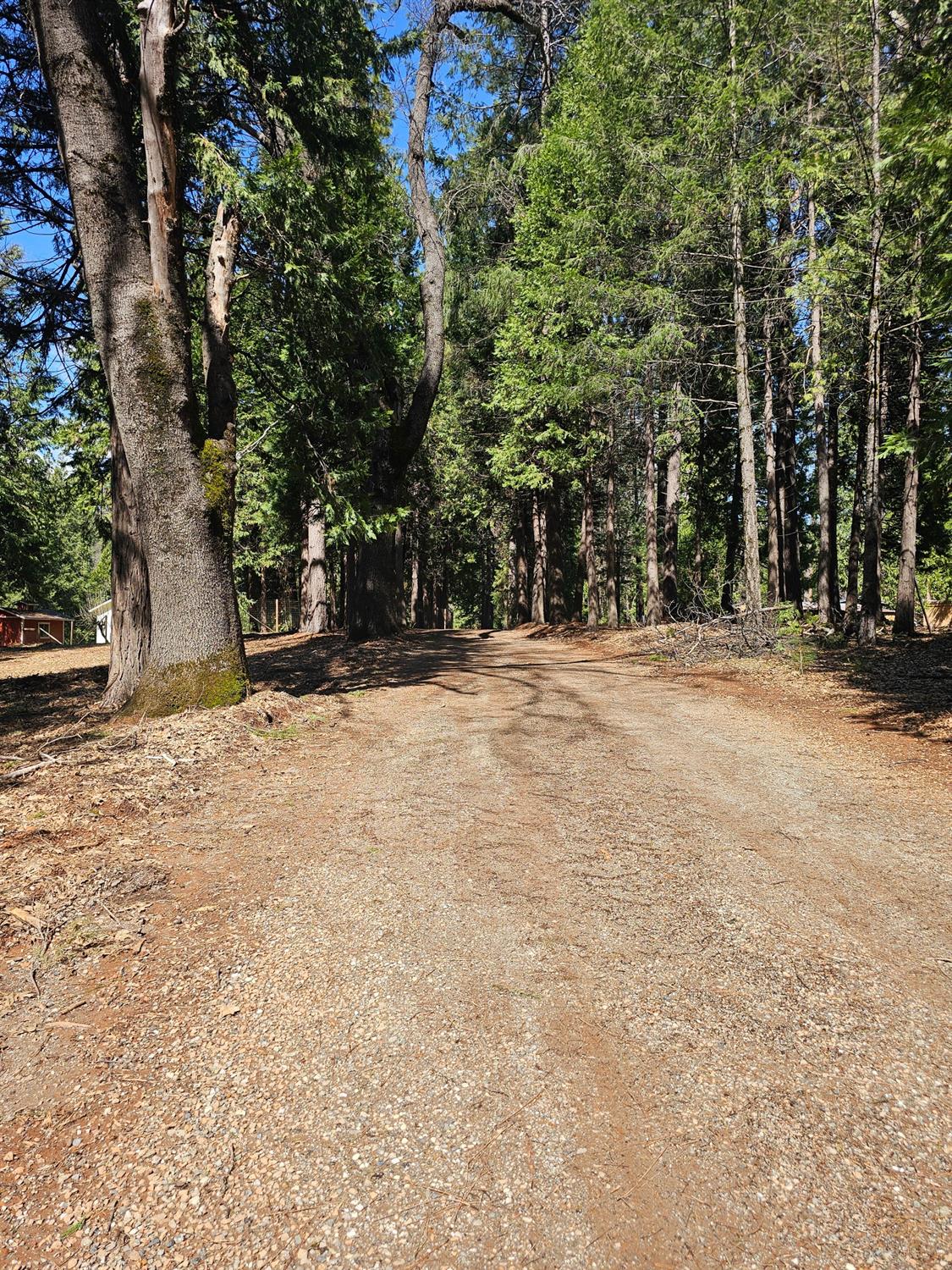 19344 Louis Road Grass Valley, CA 95945 - Photo 2 of 54 a view of outdoor space with trees