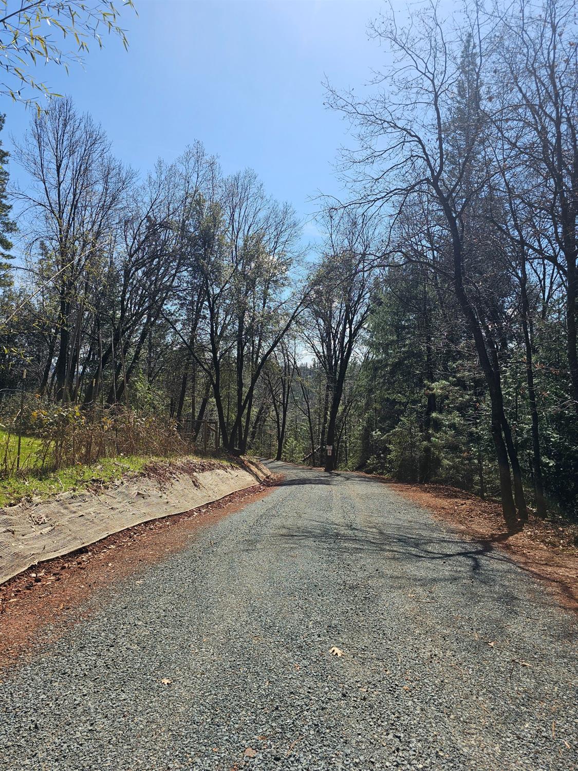 19344 Louis Road Grass Valley, CA 95945 - Photo 35 of 54 a view of a yard with a tree