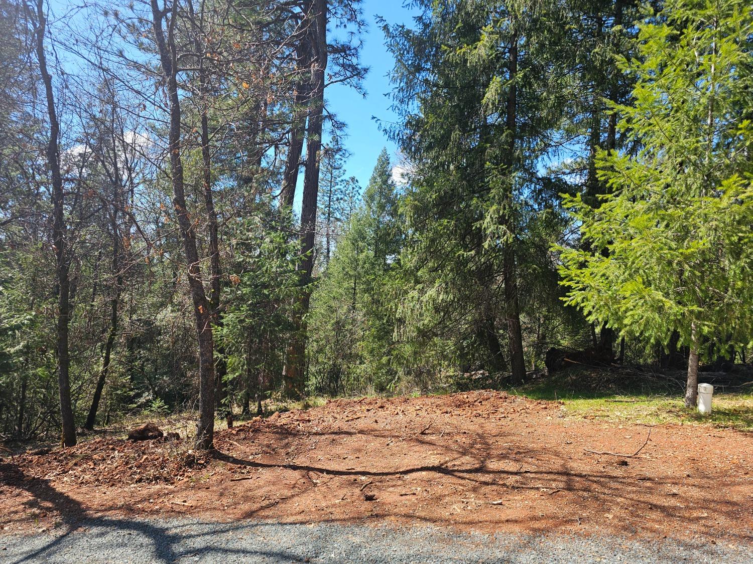 19344 Louis Road Grass Valley, CA 95945 - Photo 37 of 54 a wooden bench with trees in the background