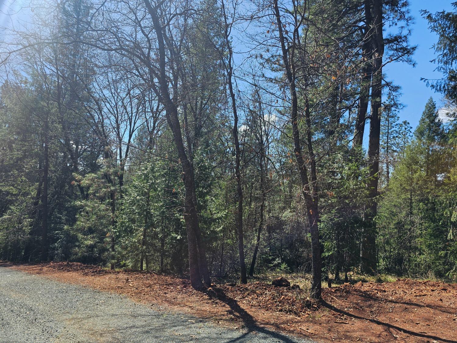 19344 Louis Road Grass Valley, CA 95945 - Photo 38 of 54 a view of backyard space