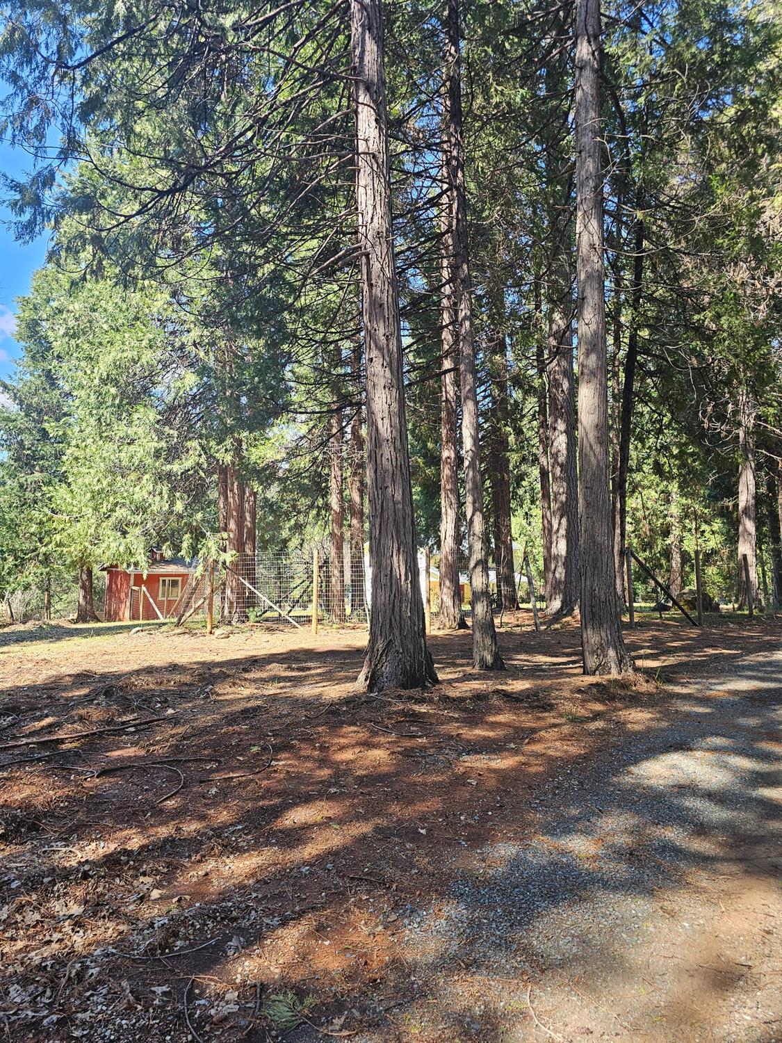 19344 Louis Road Grass Valley, CA 95945 - Photo 41 of 54 a view of outdoor space with deck and tree