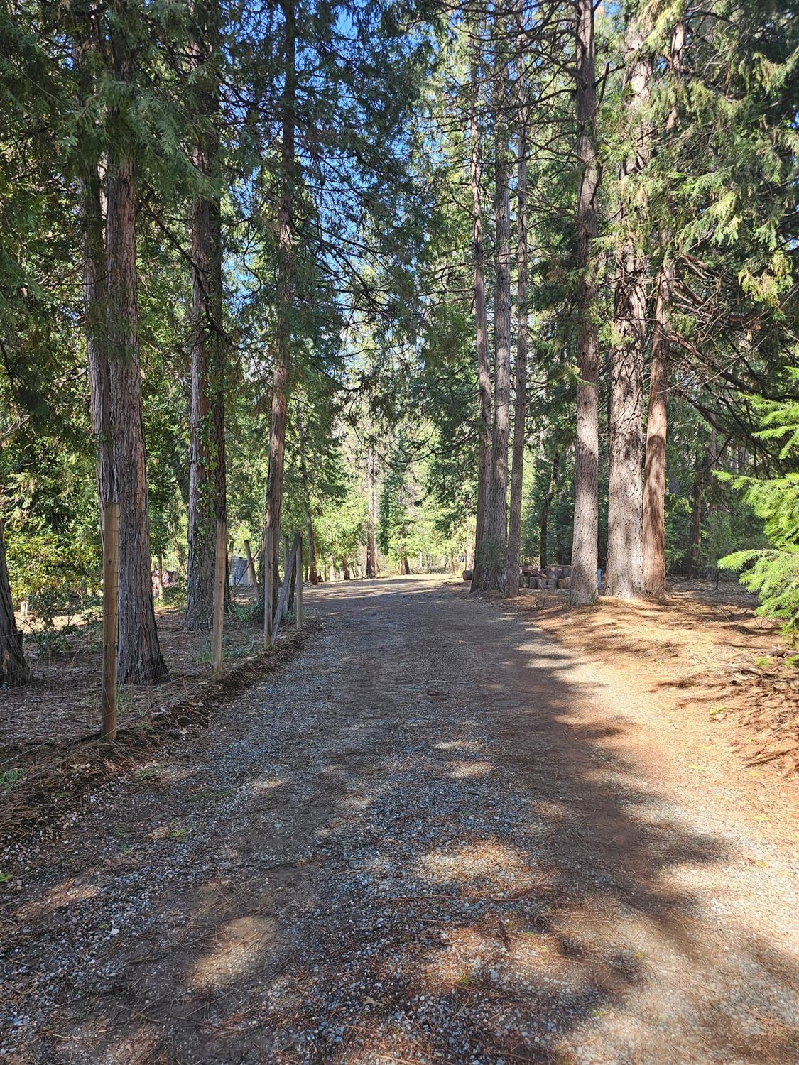19344 Louis Road Grass Valley, CA 95945 - Photo 46 of 54 a view of outdoor space and trees