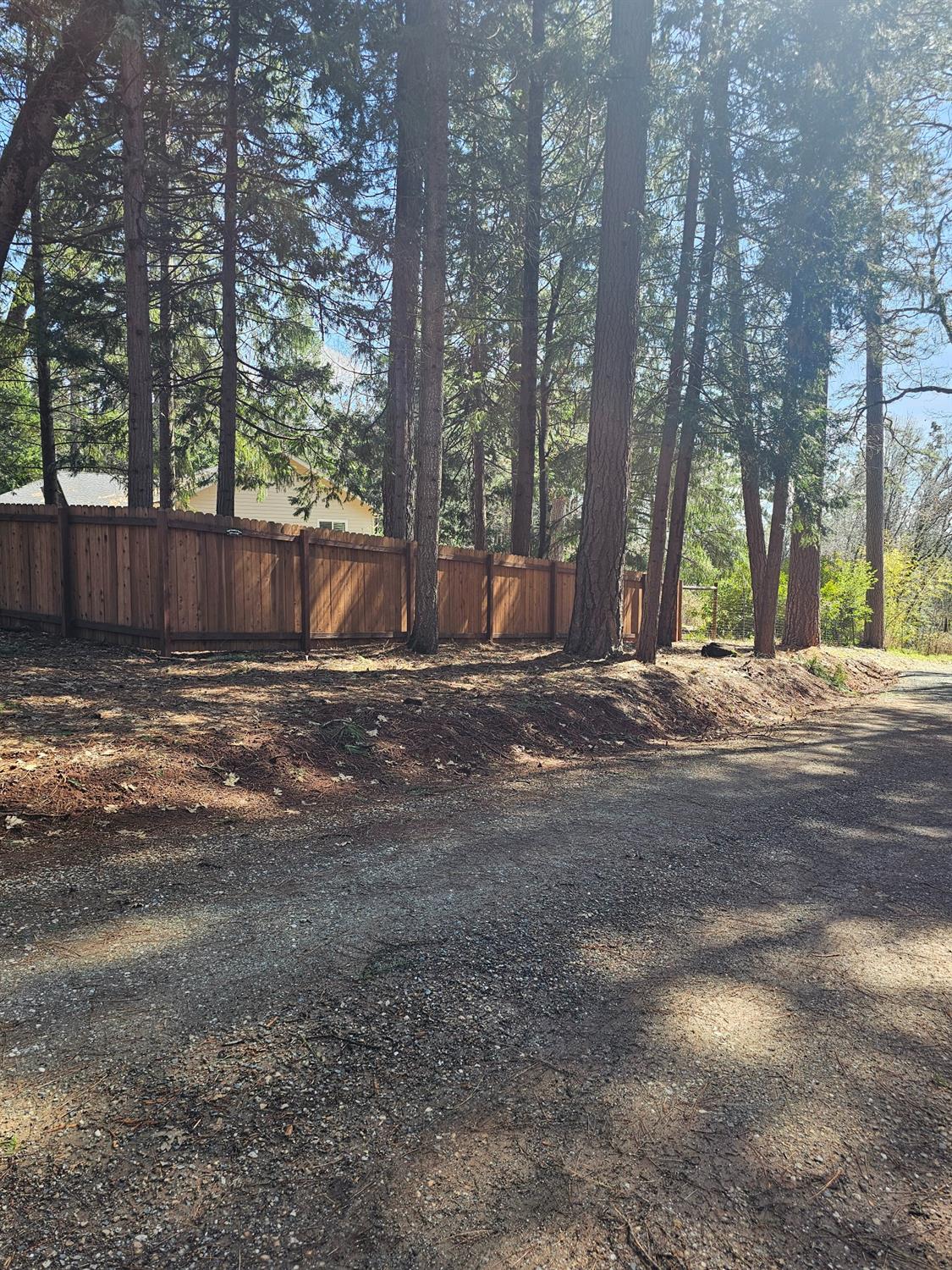 19344 Louis Road Grass Valley, CA 95945 - Photo 8 of 54 a view of street with trees