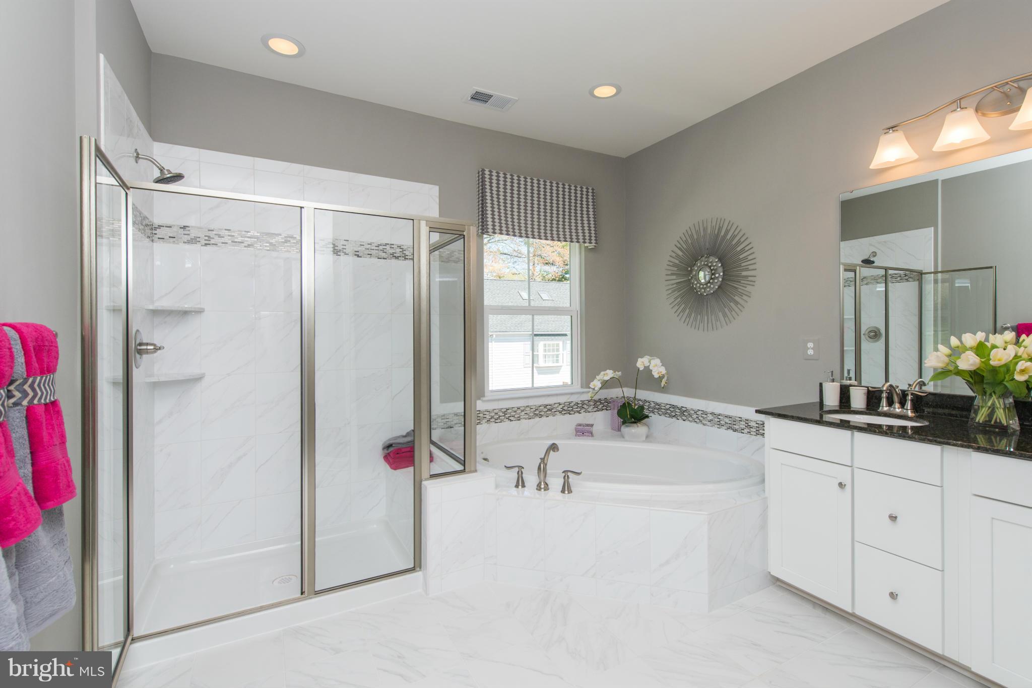 617 Buggy Ride Road Bel Air, MD 21014 - Photo 16 of 22 Bath (Master)