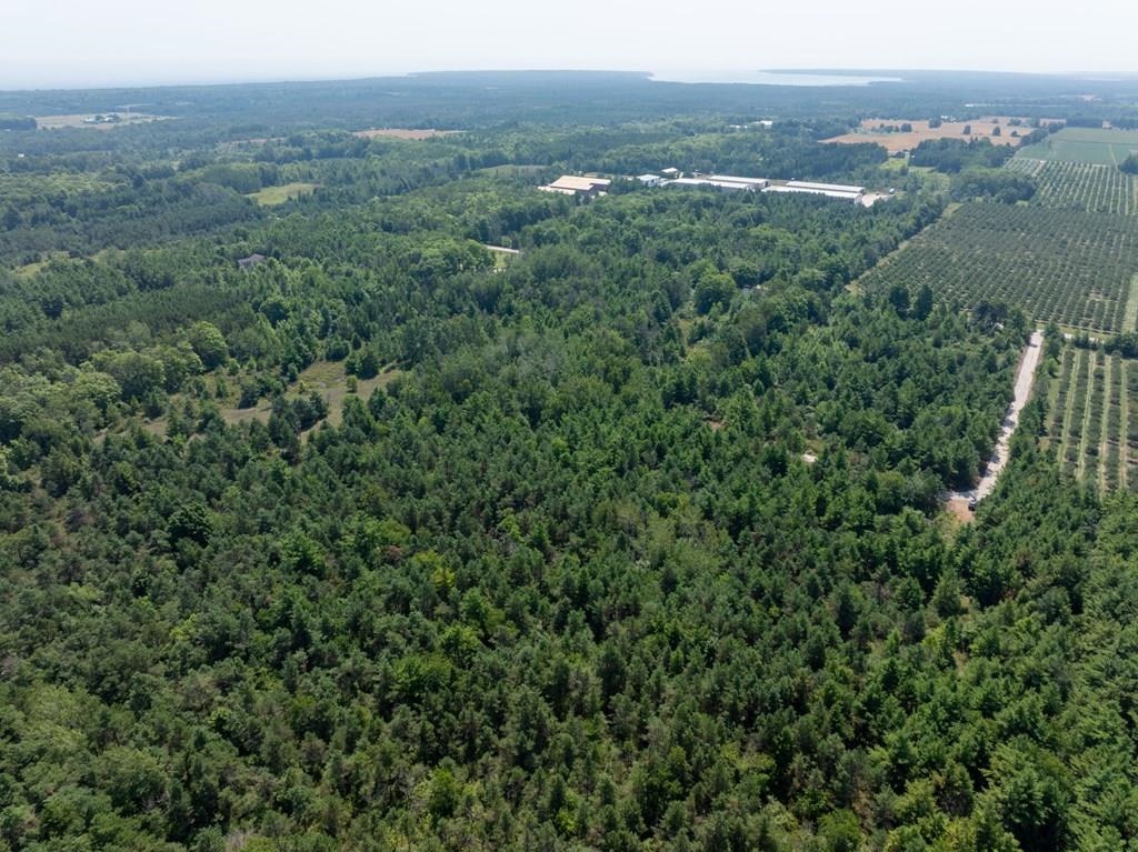 Scandia Road, Unit 2 Sister Bay, WI 54234 - Photo 9 of 16