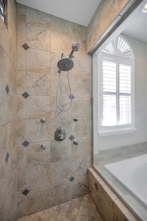 1227 Toscano Drive Trinity, FL 34655 - Photo 35 of 99 a bathroom with a shower and a bathtub