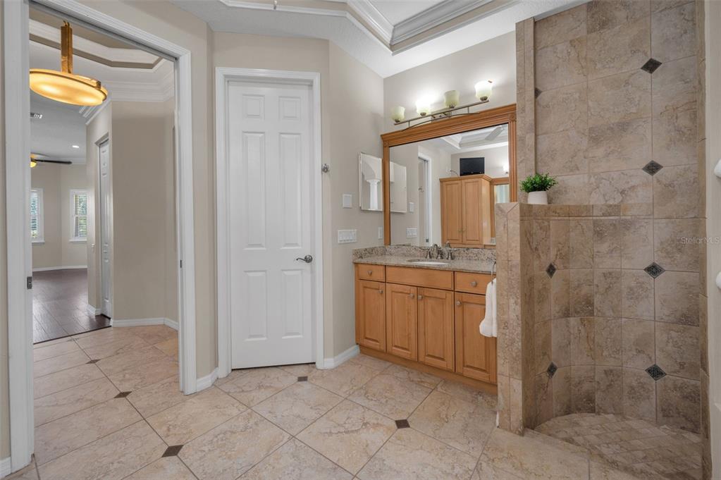 1227 Toscano Drive Trinity, FL 34655 - Photo 36 of 99 a bathroom with a granite countertop sink a mirror and a shower