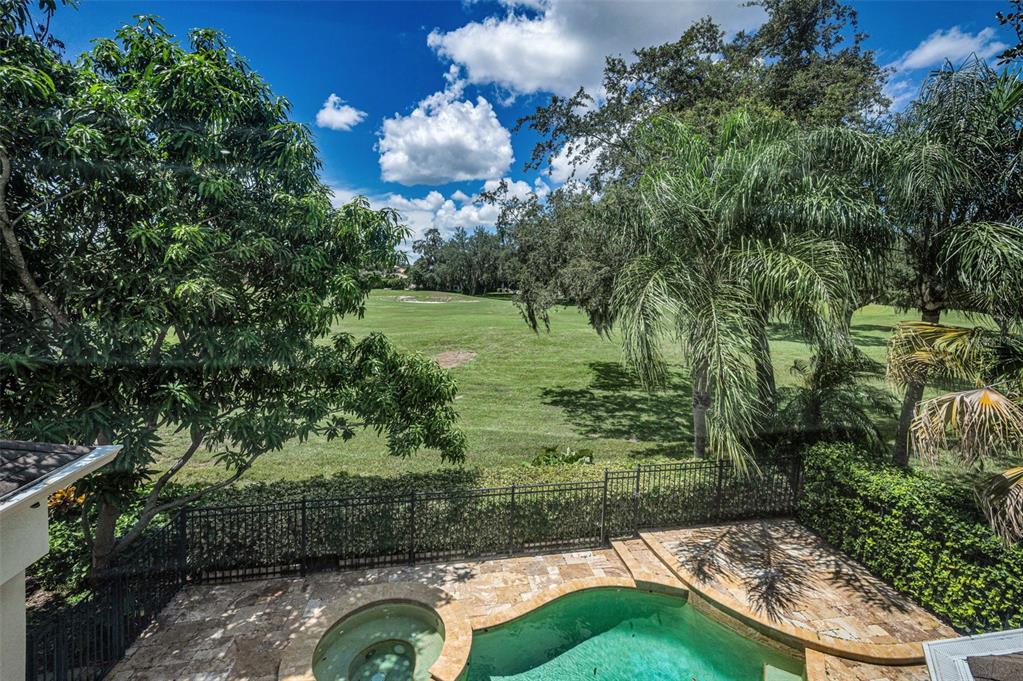 1227 Toscano Drive Trinity, FL 34655 - Photo 52 of 99 a view of a garden with an outdoor space