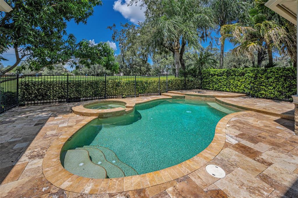 1227 Toscano Drive Trinity, FL 34655 - Photo 60 of 99 a view of a swimming pool with a yard