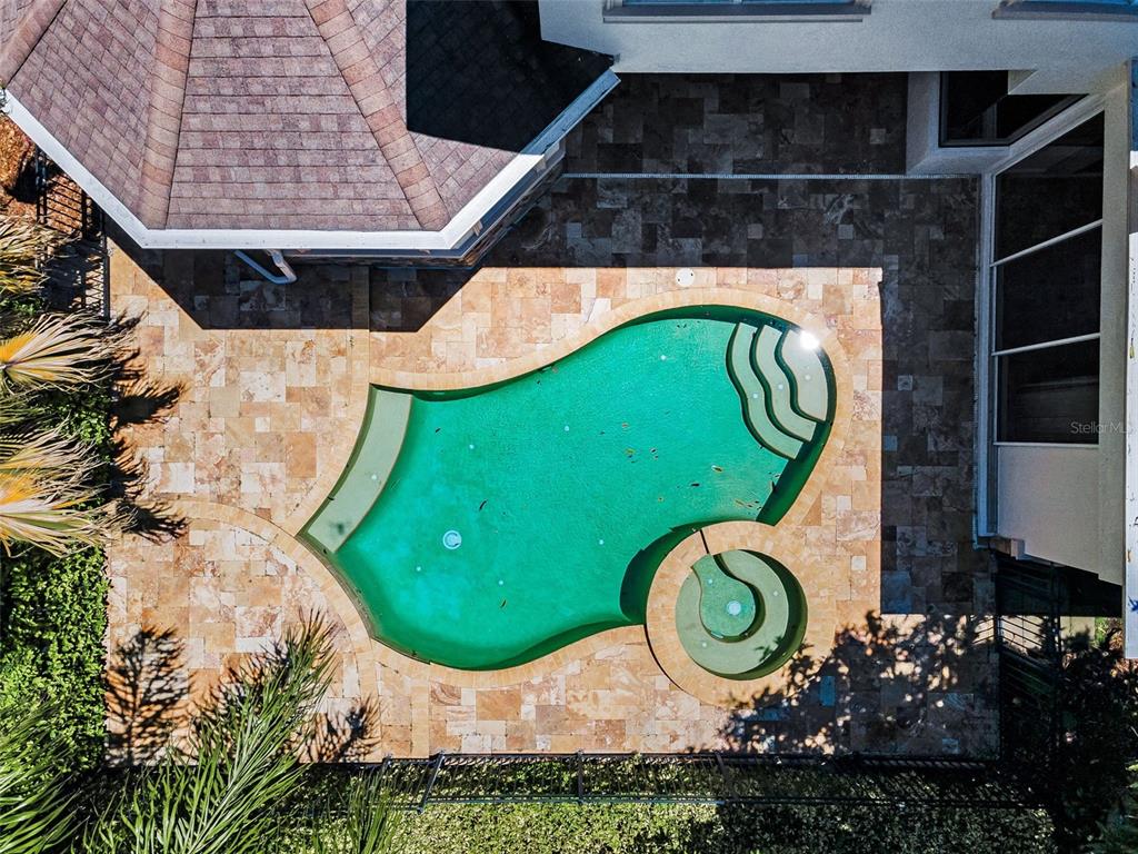 1227 Toscano Drive Trinity, FL 34655 - Photo 64 of 99 an aerial view of a swimming pool with a yard and plants