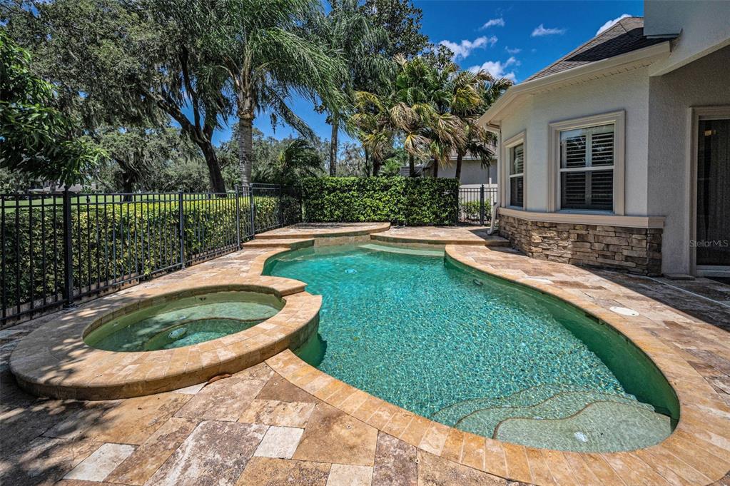 1227 Toscano Drive Trinity, FL 34655 - Photo 67 of 99 a view of a house with swimming pool and a yard