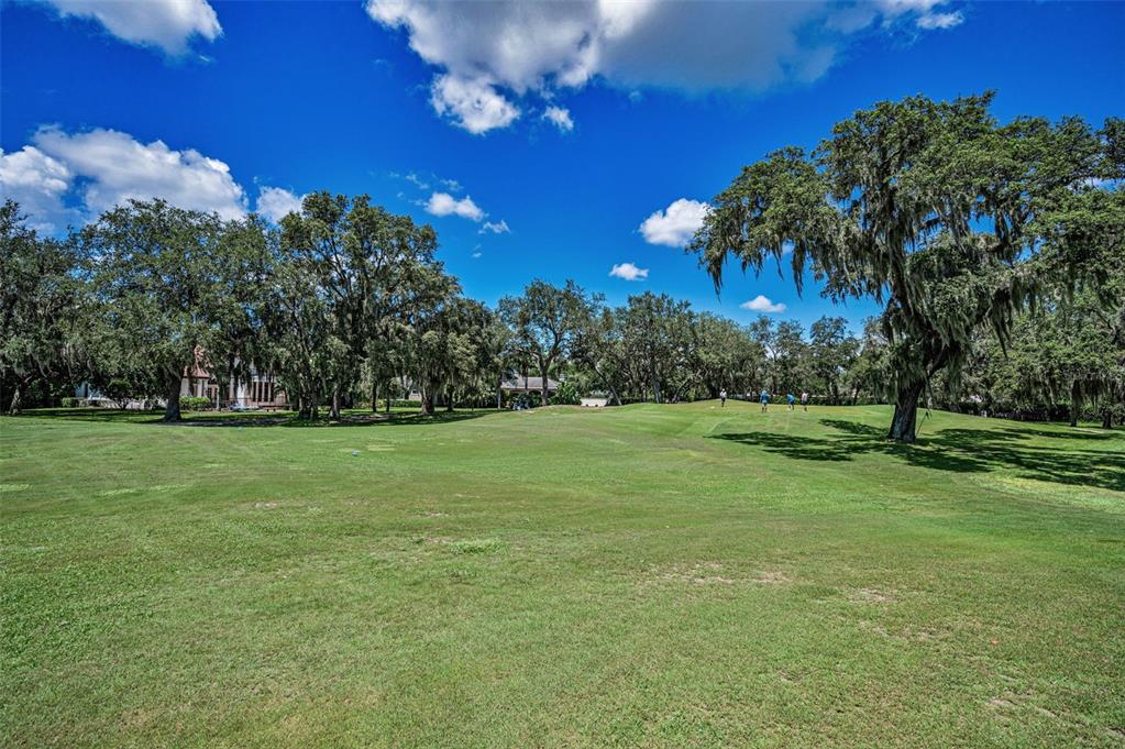 1227 Toscano Drive Trinity, FL 34655 - Photo 72 of 99