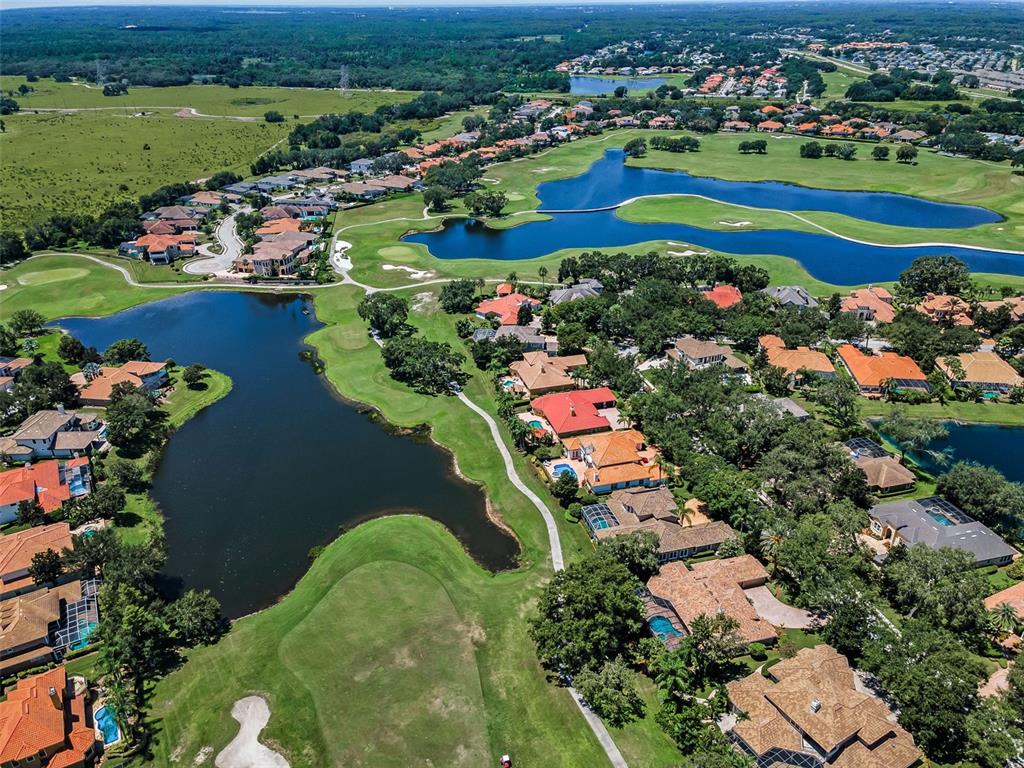 1227 Toscano Drive Trinity, FL 34655 - Photo 73 of 99 an aerial view of a houses and an outdoor space