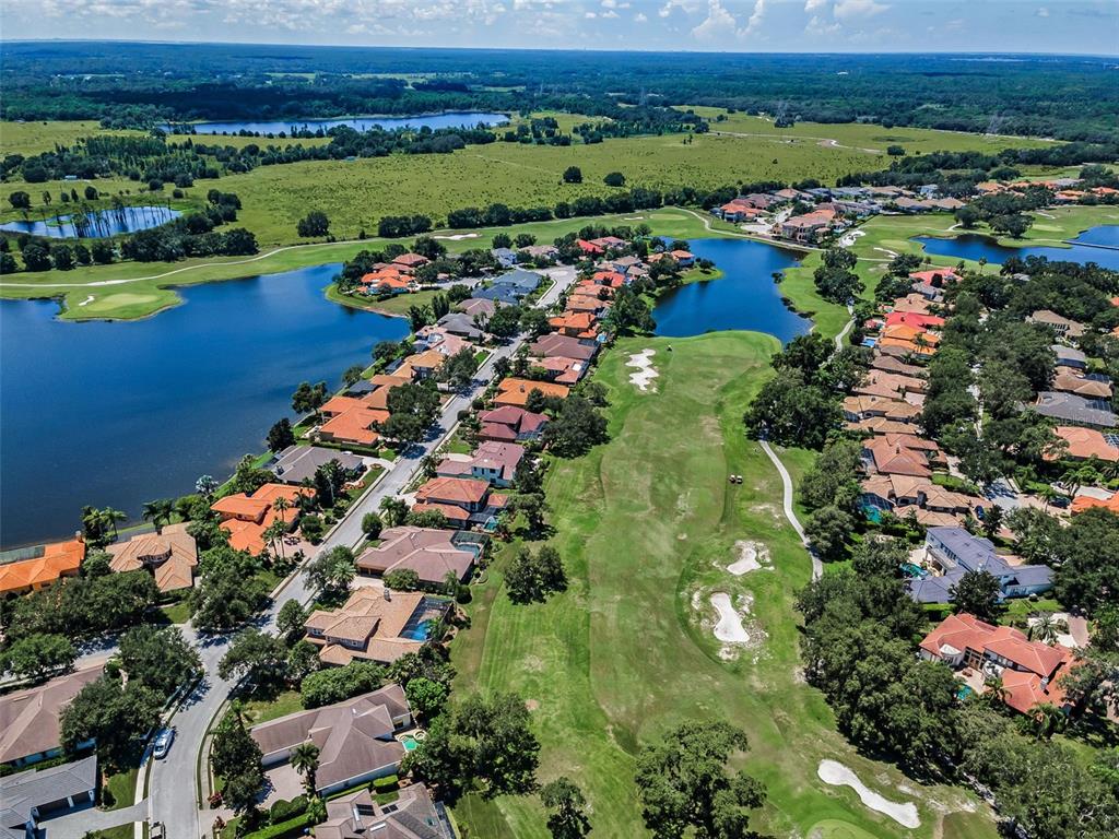 1227 Toscano Drive Trinity, FL 34655 - Photo 77 of 99 an aerial view of multiple house