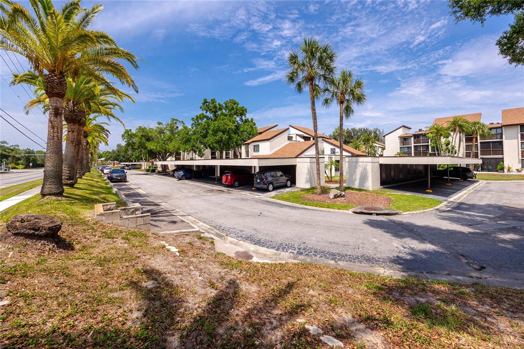 2207 Belleair Road, Unit B30 Clearwater, FL 33764 - Photo 38 of 39 a view of yard with swimming pool and tall trees