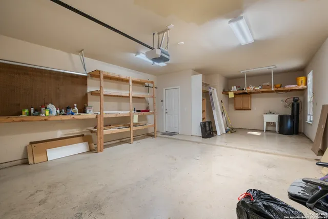 a view of a park that has a large tree