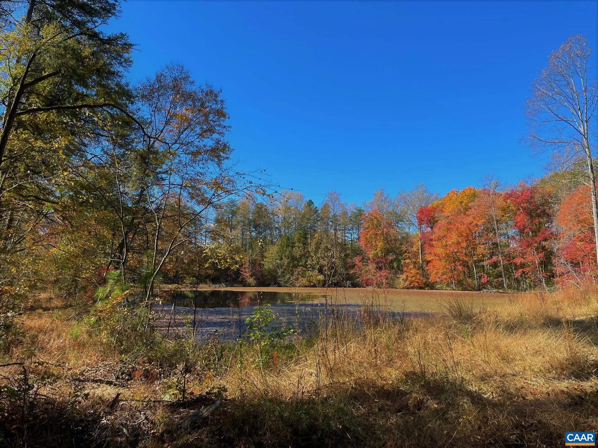 0 Walnut Shade Road Louisa, VA 23093 - Photo 12 of 13 Gallery Image 12