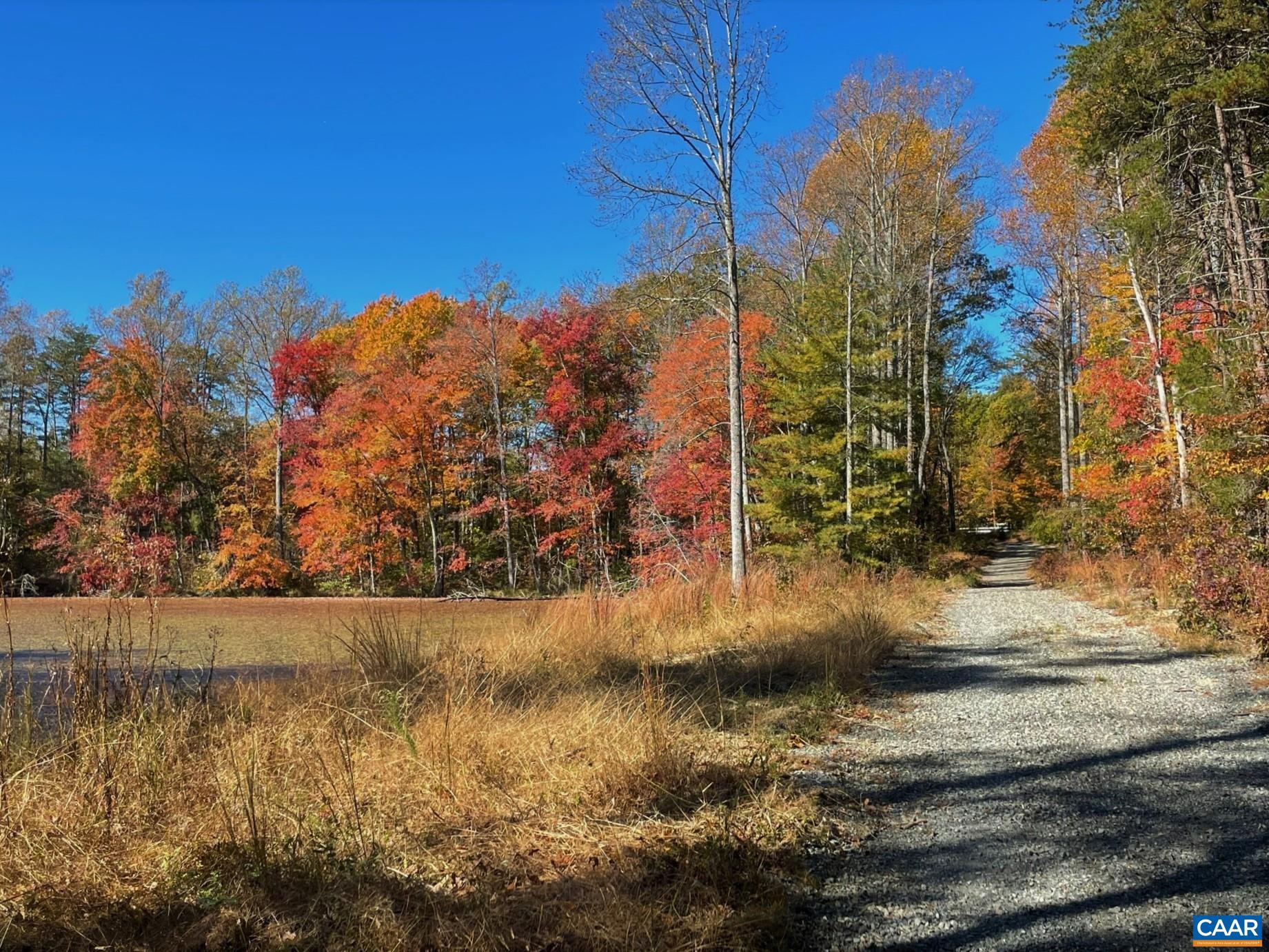0 Walnut Shade Road Louisa, VA 23093 - Photo 13 of 13 Gallery Image 13