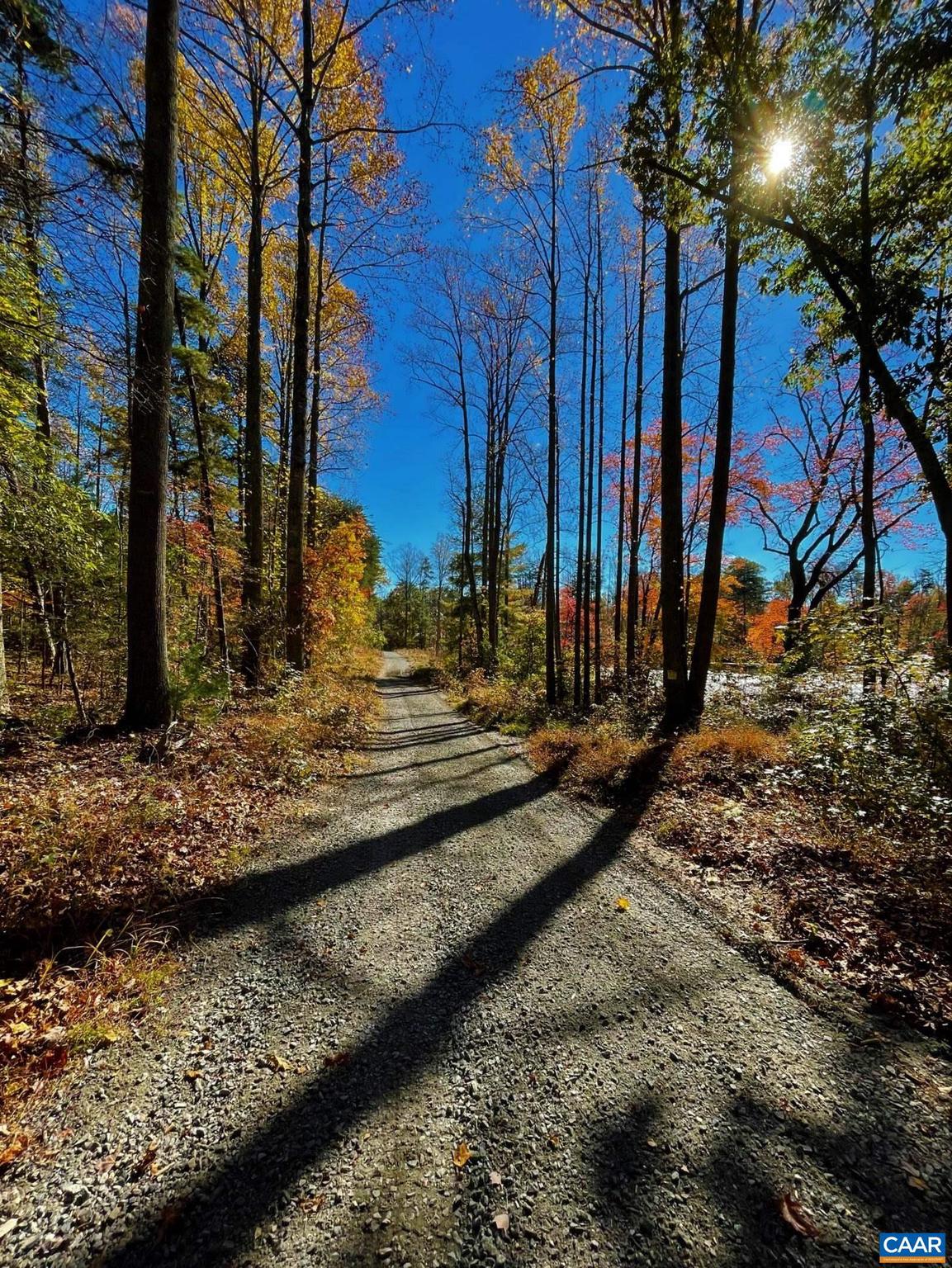 0 Walnut Shade Road Louisa, VA 23093 - Photo 2 of 13 Gallery Image 2