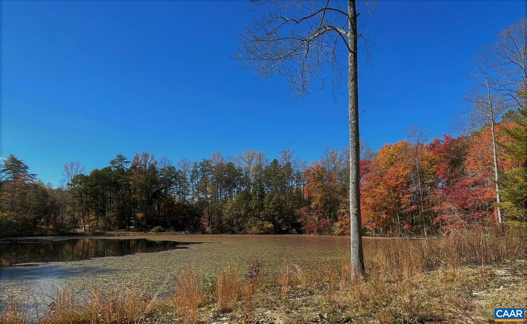 0 Walnut Shade Road Louisa, VA 23093 - Photo 3 of 13 Gallery Image 3