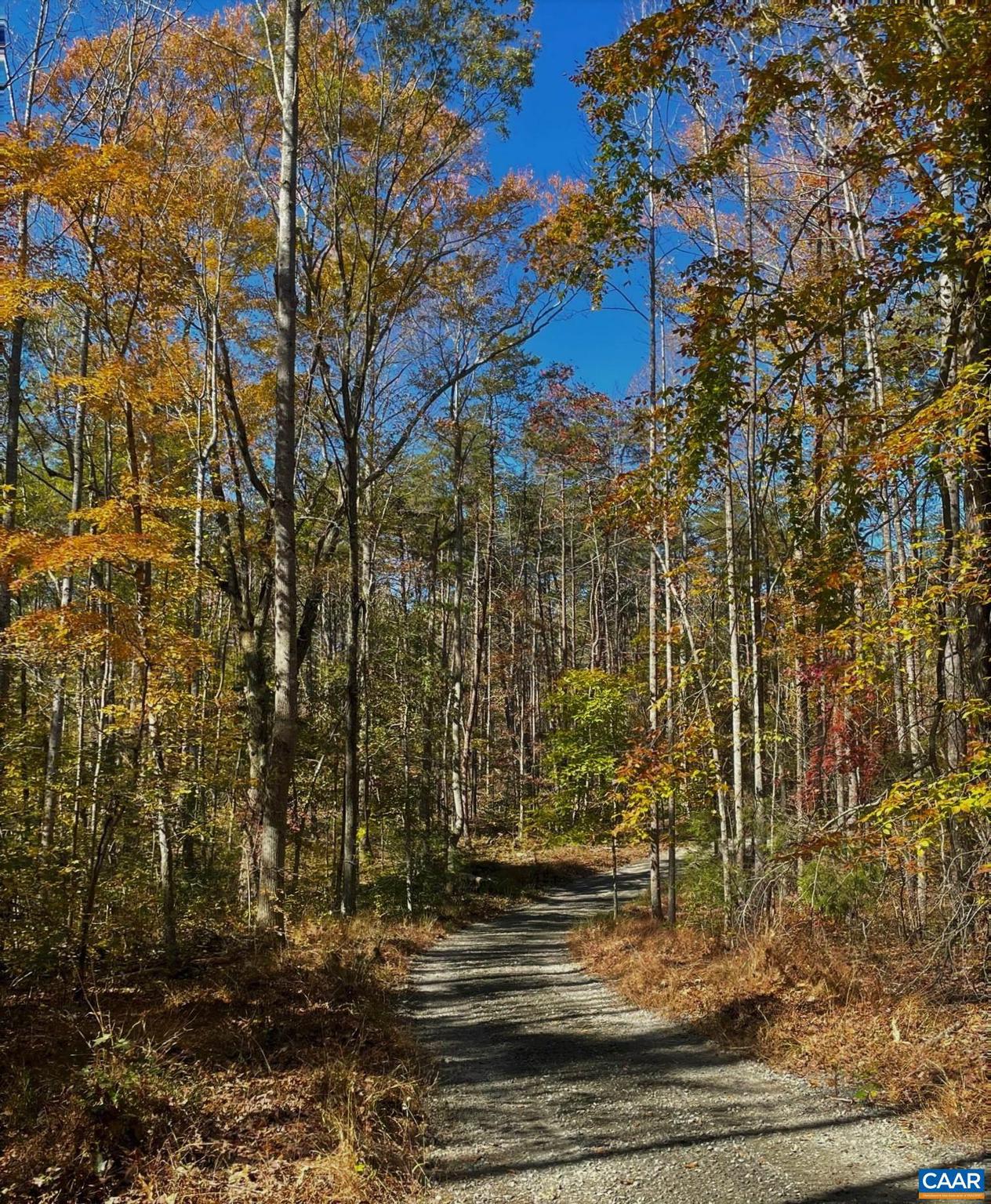 0 Walnut Shade Road Louisa, VA 23093 - Photo 7 of 13 Gallery Image 7