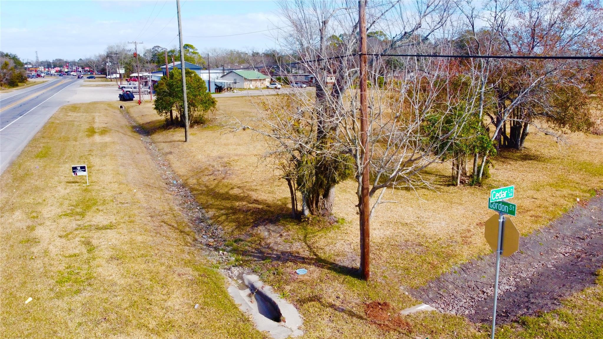 a view of yard along with trees