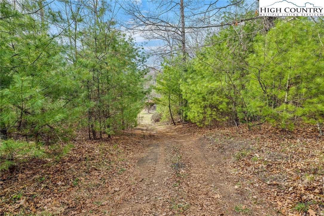 115 Old Obids Road West Jefferson, NC 28694 - Photo 45 of 49