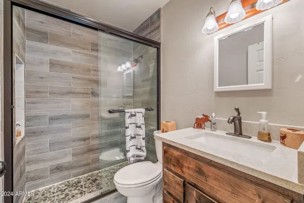a bathroom with a sink a toilet and shower