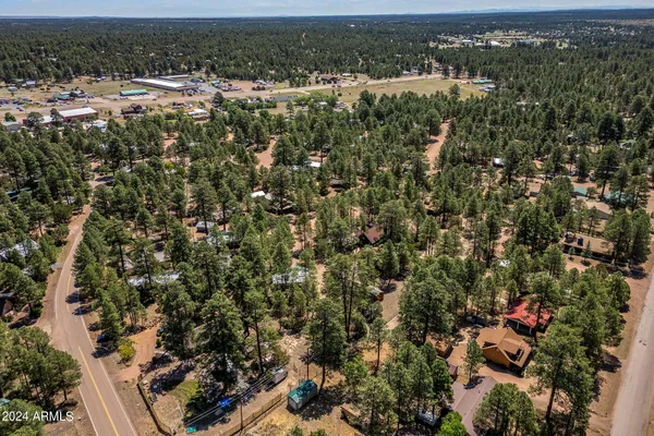 an aerial view of residential houses with outdoor space and trees